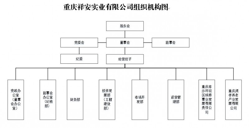 祥安公司-組織架構.png